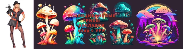таблы Лабытнанги