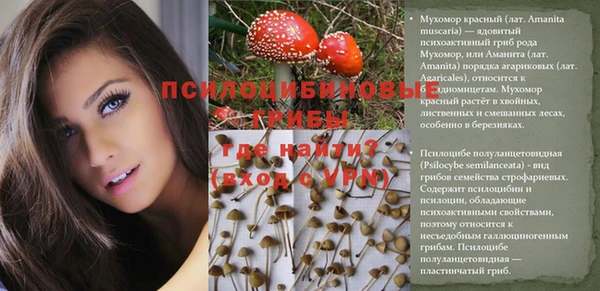 таблы Лабытнанги
