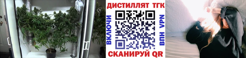 Дистиллят ТГК Wax  Чайковский 