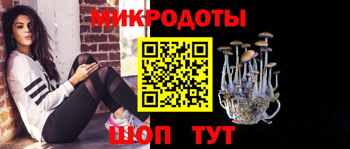 Галлюциногенные грибы Cubensis Чайковский